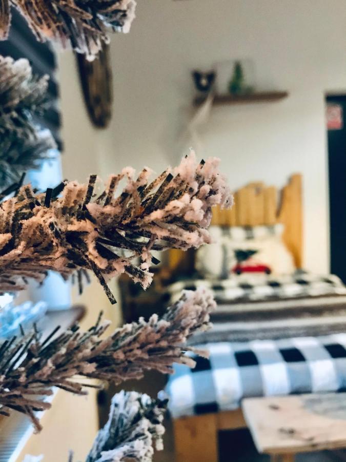 Siedlisko Farmhouse Okszow Εξωτερικό φωτογραφία